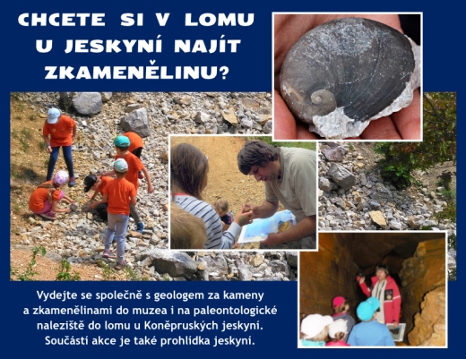 Den s geologem se sběrem zkamenělin v lomu u Koněpruských jeskyní